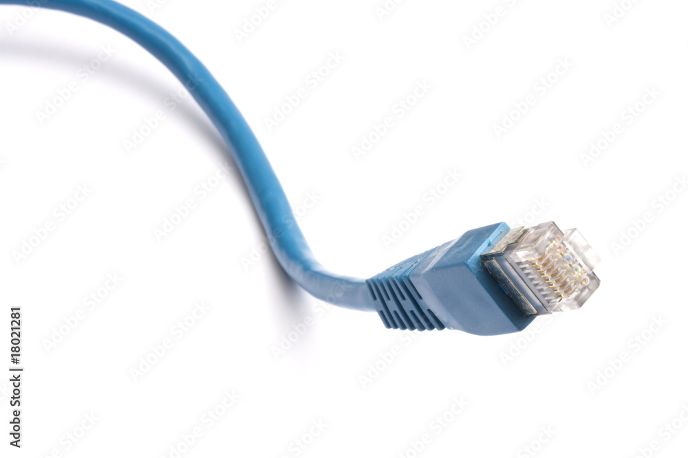 Blue network cable Blue network cable