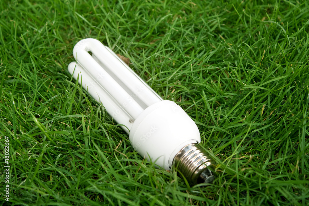 Energy saving light bulb in green grass Energy saving light bulb in green grass