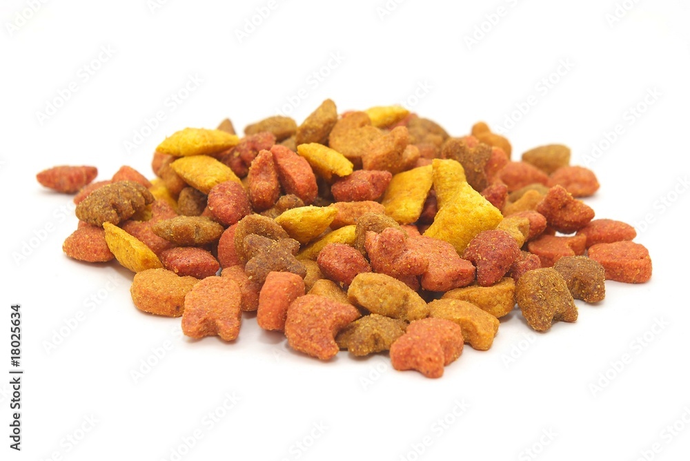 Cat food Cat food