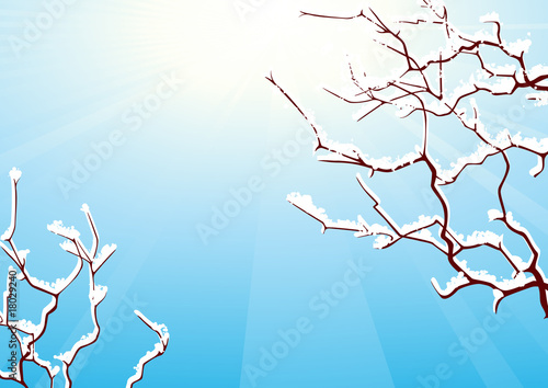 Winter trees brunch
