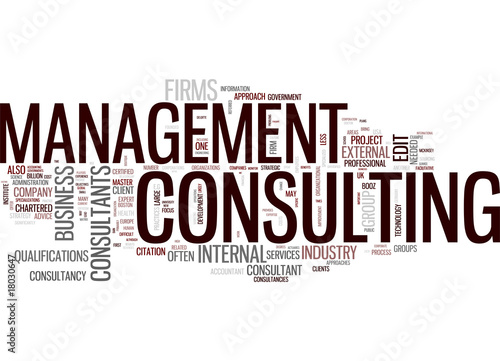 Consulting Management #18030647