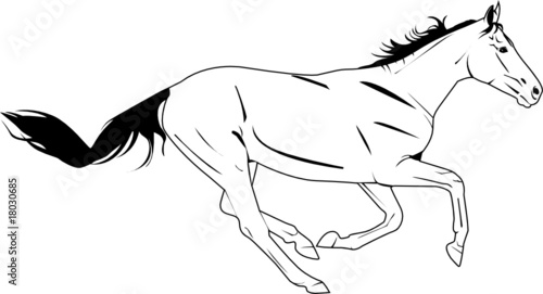 horse vector gallop