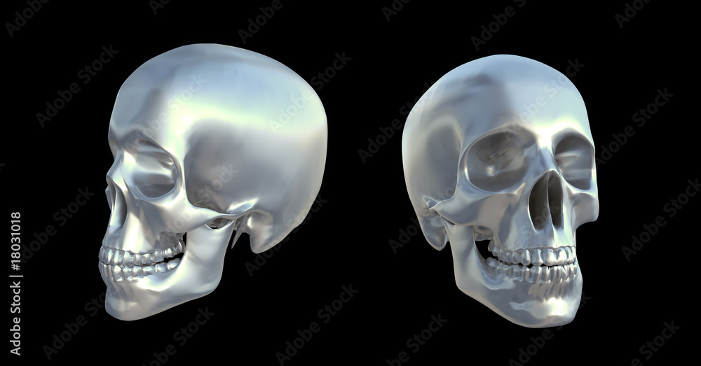 Two views of a human metallic skull on a black background Two views of a human metallic skull on a black background