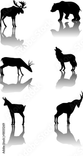 Set of mountain animals