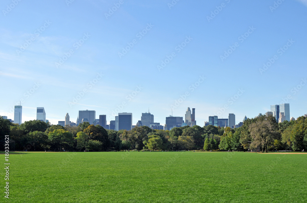 Central Park and skyscraper. Central Park and skyscraper.