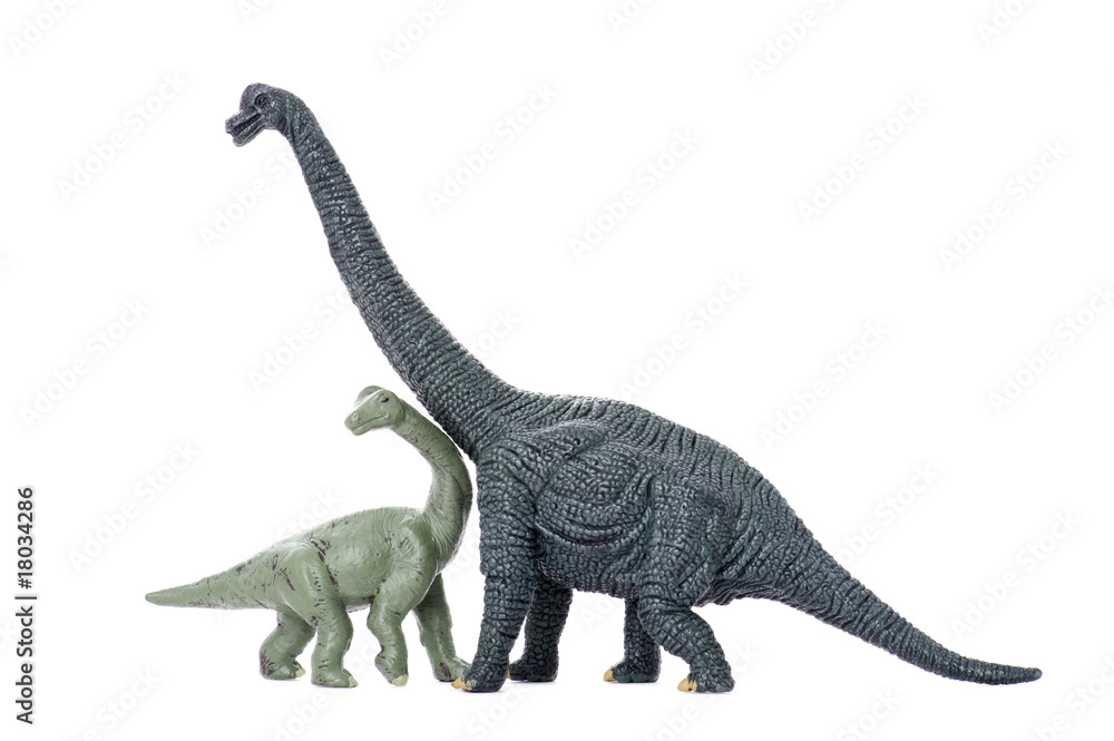 Two dinosaur