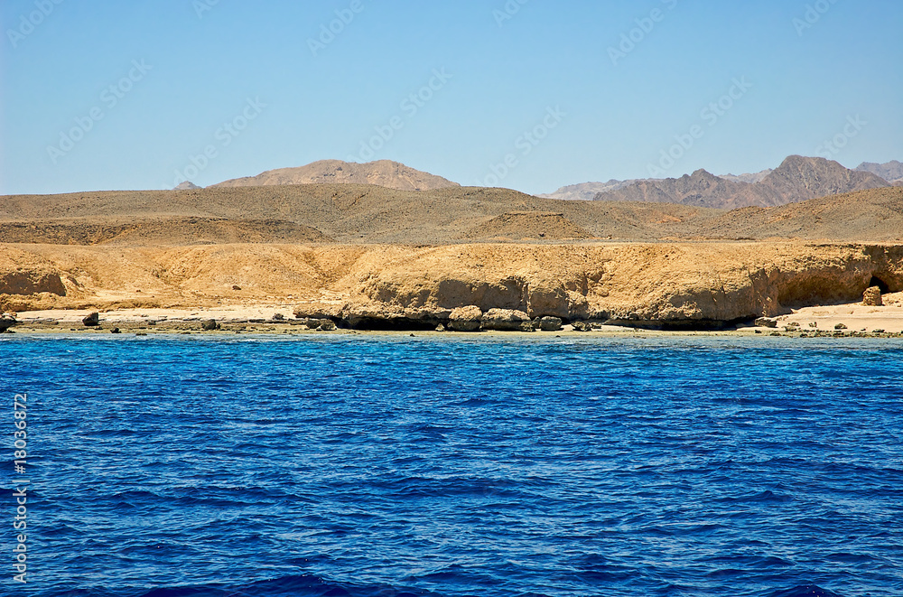 Sinai Coast