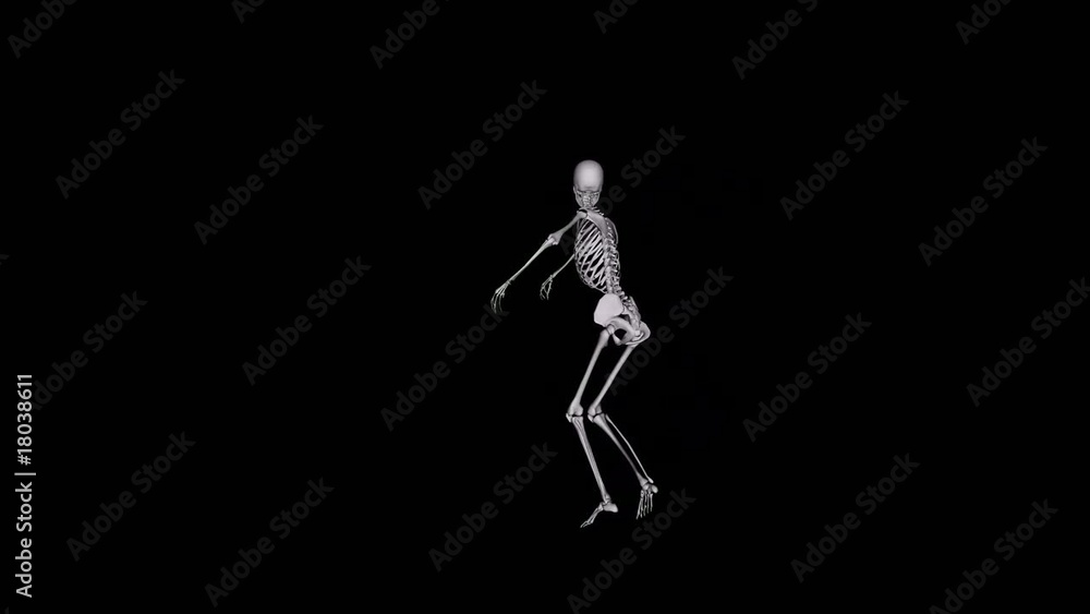 skull dancing ballet skull dancing ballet