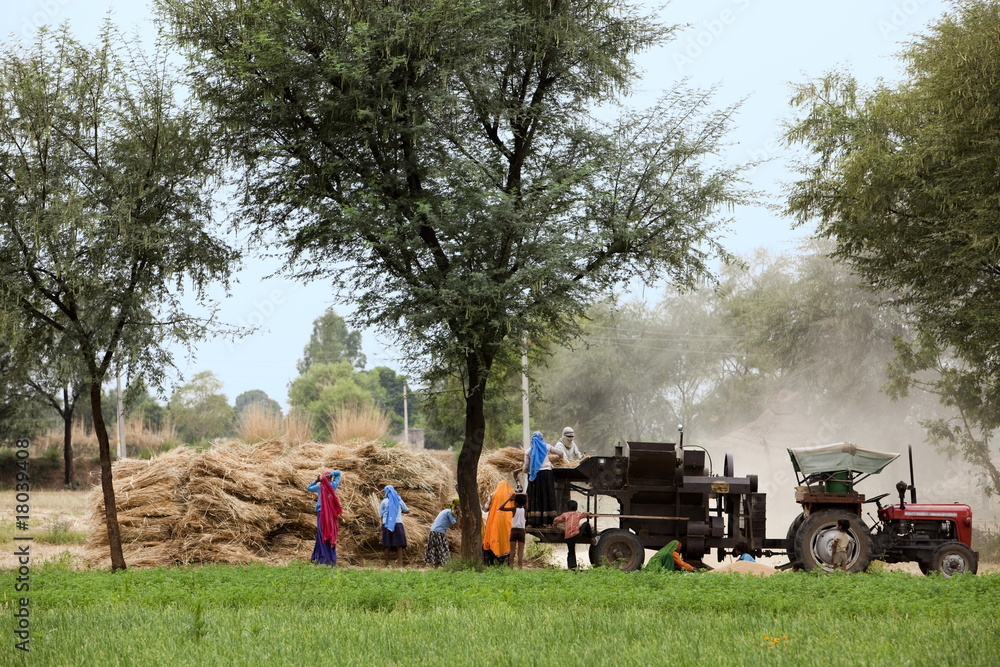 Obraz premium Agriculture_india