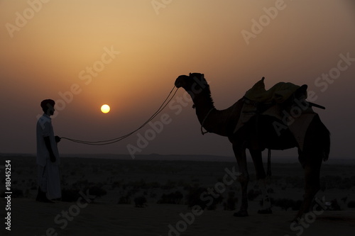 Принти на полотні in thar desert near jaisalmer