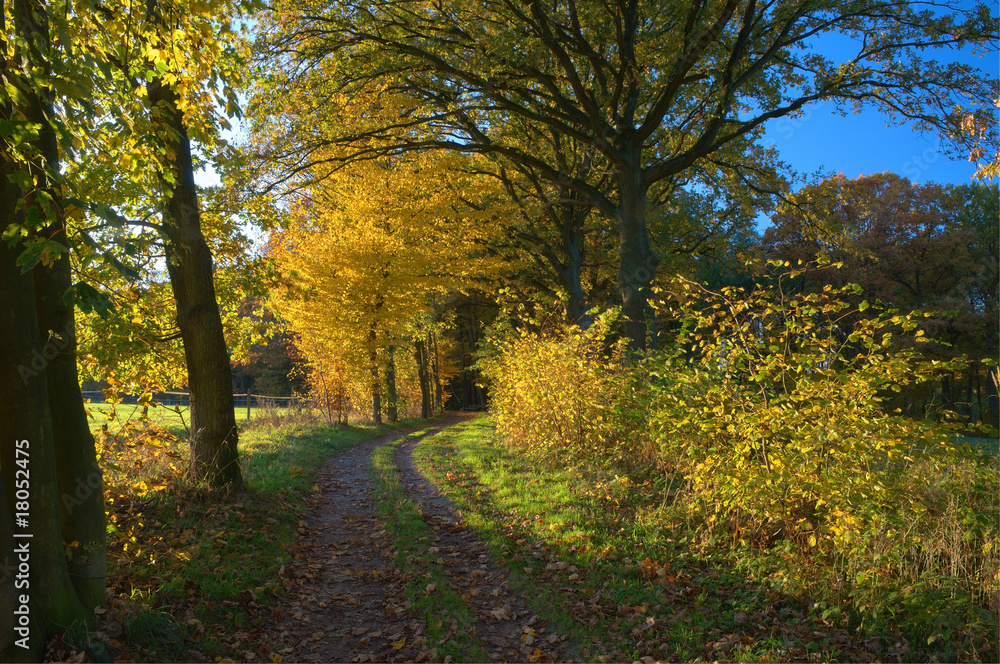 Herbst Herbst