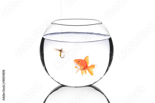 Fish bowl with a fishing hook and a fish
