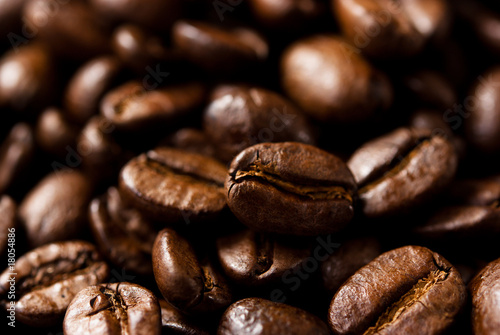 Coffee beans © B.G. Photography