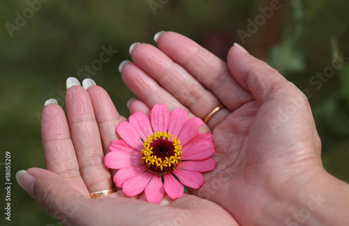 flower on hand