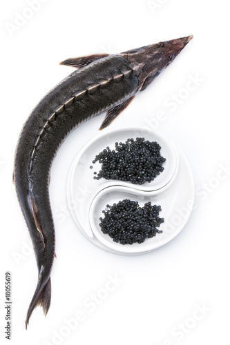 Raw sturgeon with black caviar on white background