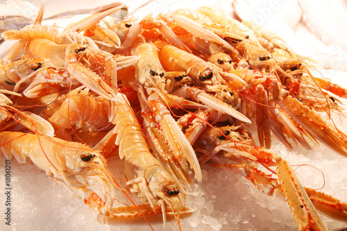 Quadro em tela scampi