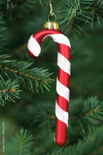 Candy cane hanging on a christmas tree