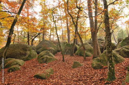 rocks in fontainbleau photo