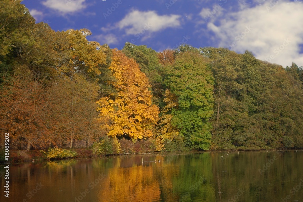 Herbstwald am See