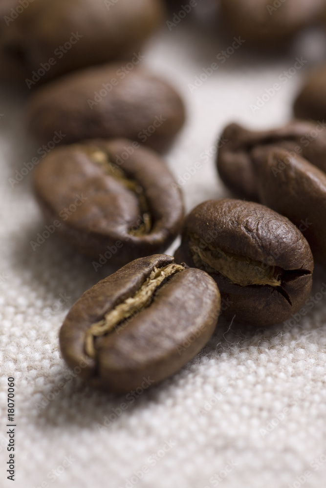 Roasted coffee beans Roasted coffee beans