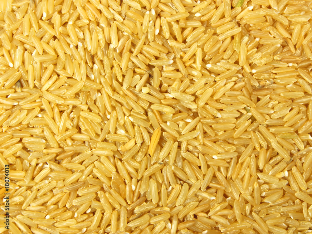 Rice abstract background Rice abstract background