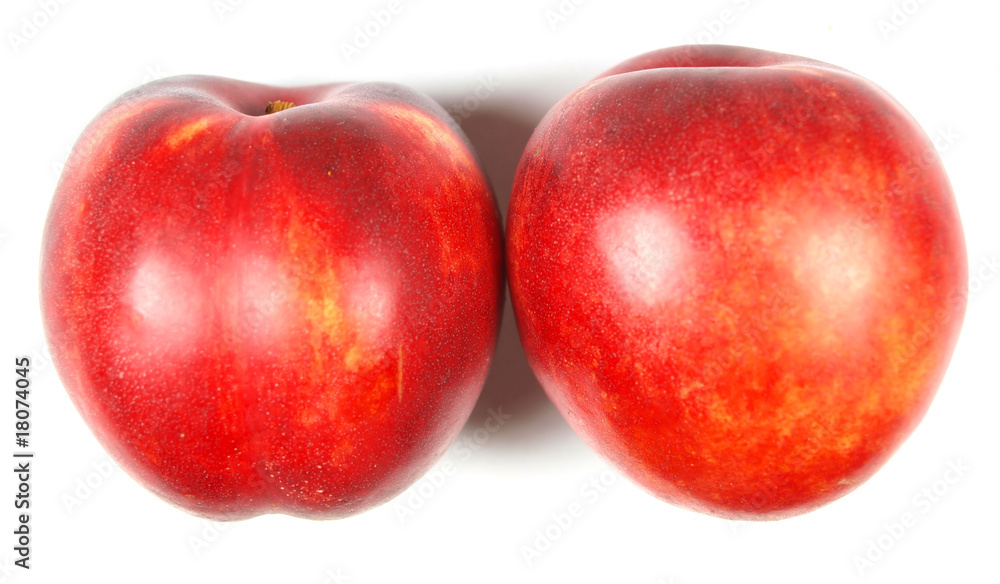 Nectarines isolated on white Nectarines isolated on white