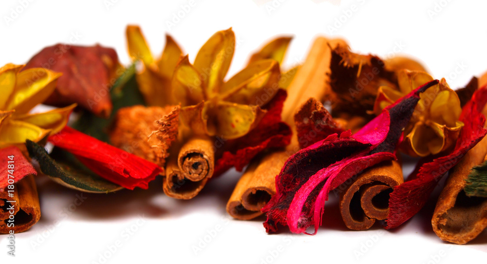 Colored blooms, leaves and bark, isolated on white.