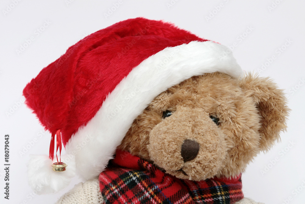 Teddybär mit Weihnachtsmütze