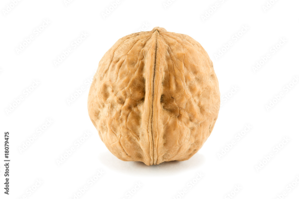Walnut isolated on white Walnut isolated on white