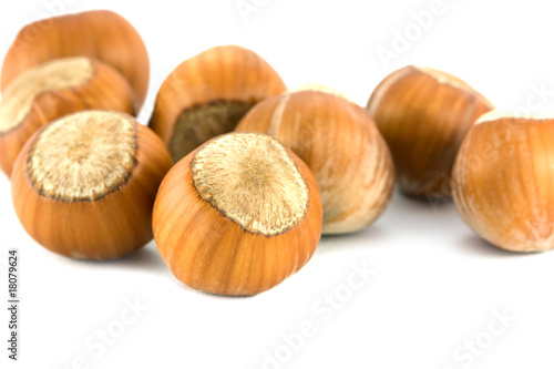 pile of hazelnuts isolated on white