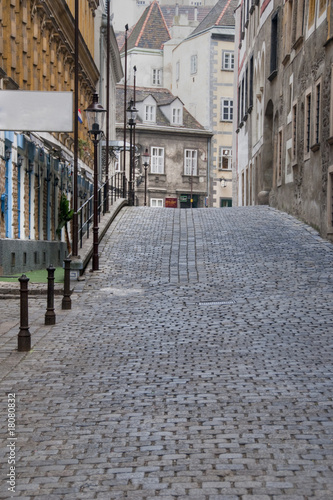 Street of Vienna, January 2009 photo