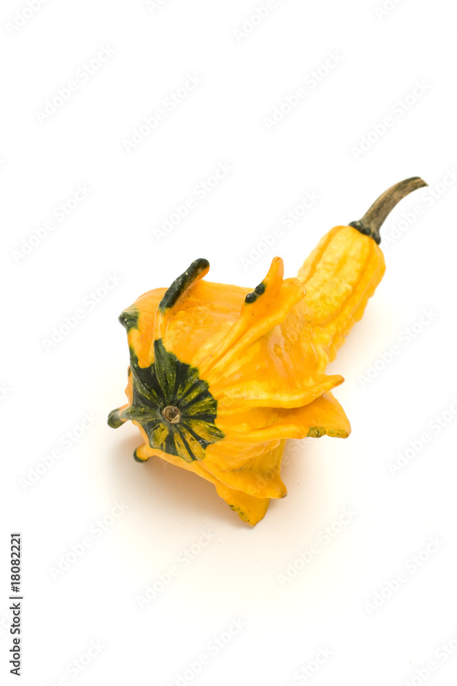 Fototapeta premium Autumn Squash
