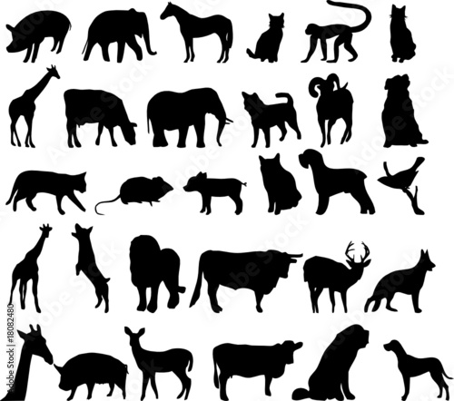 Vector silhouettes of differente animals