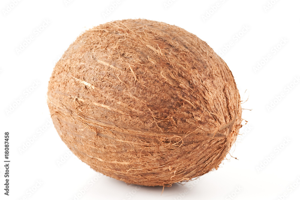 Isolated coconut on white background Isolated coconut on white background