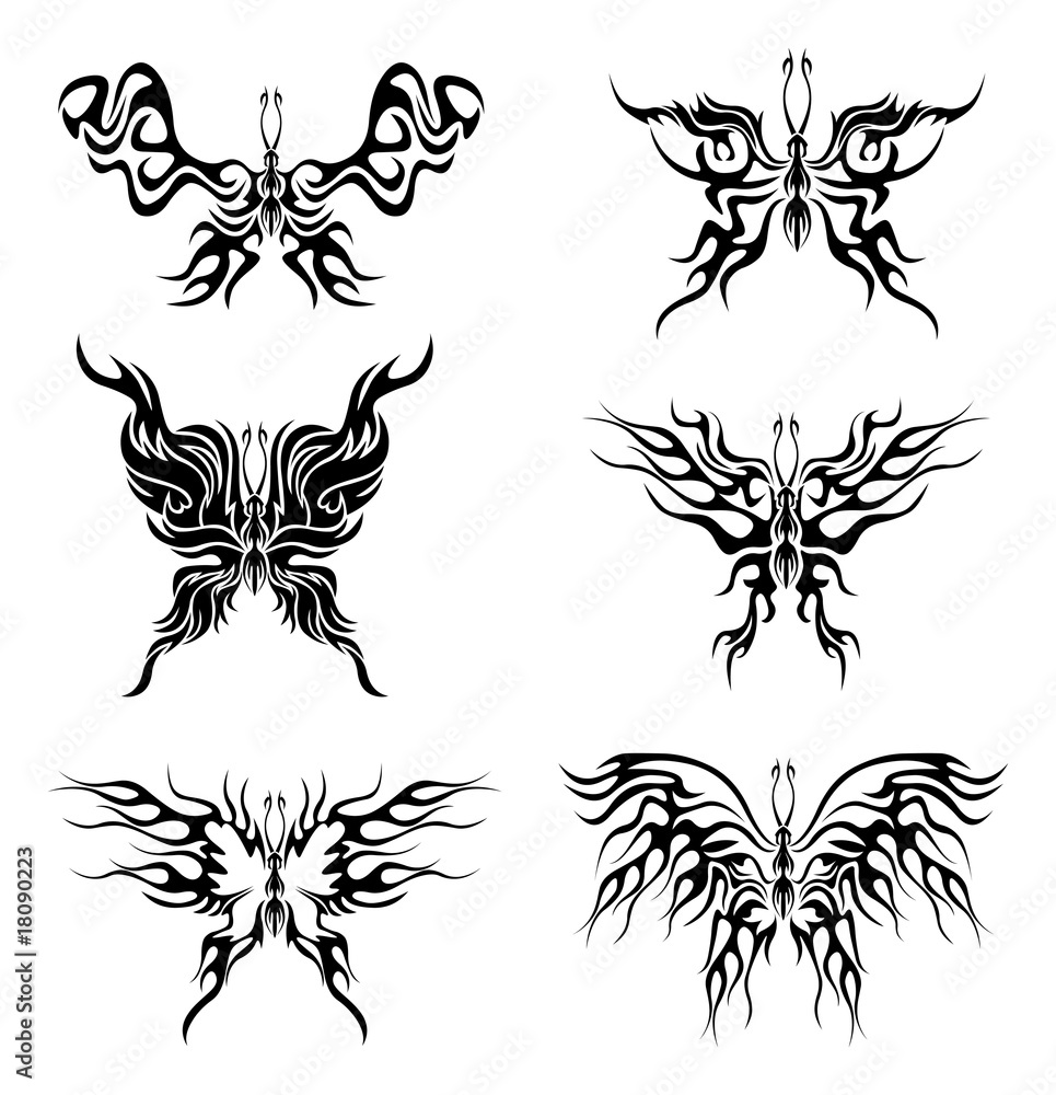 Fototapeta premium Flaming butterflies