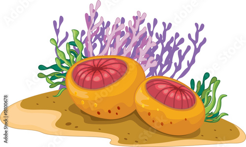 still life