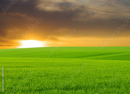 a green hills