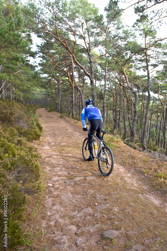 Mountainbiker