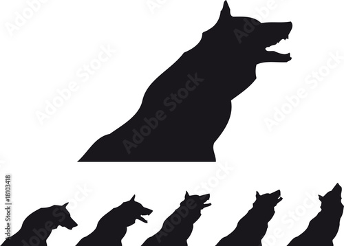 lobo