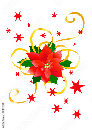 roter Weihnachsstern mit goldener Schleife