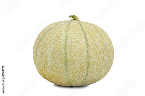 Single Cantaloupe Melon
