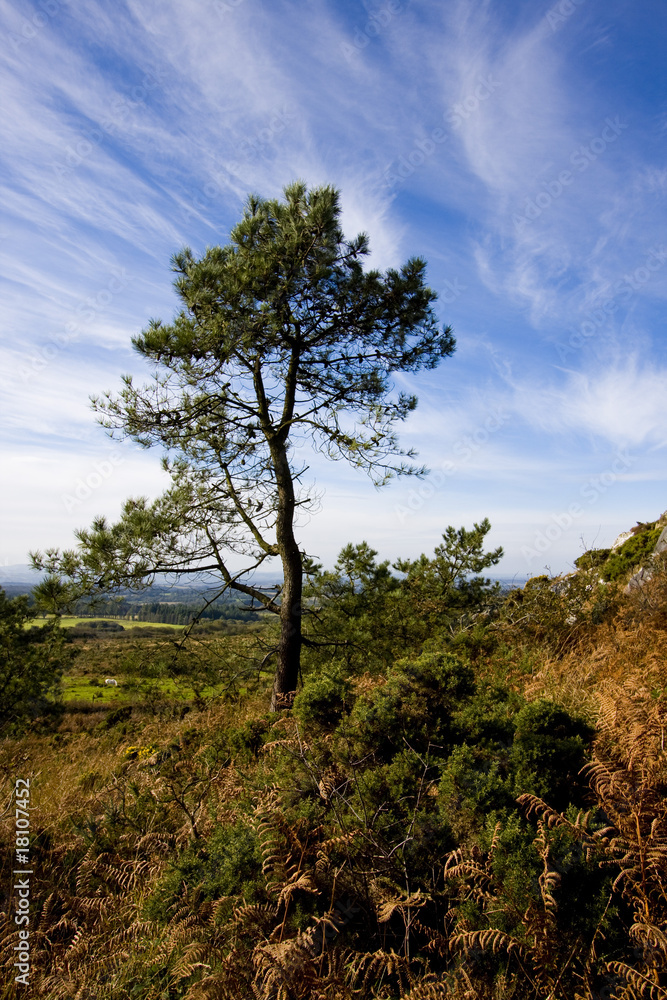 view of a small mountain in brittany view of a small mountain in brittany