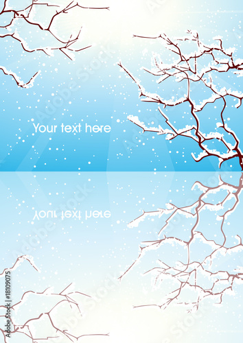 Winter trees branch reflection