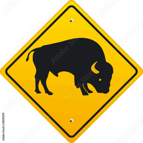 Bison
