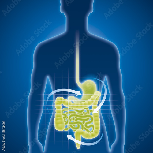 Magen, Darm, Magenmedizin, Untersuchung