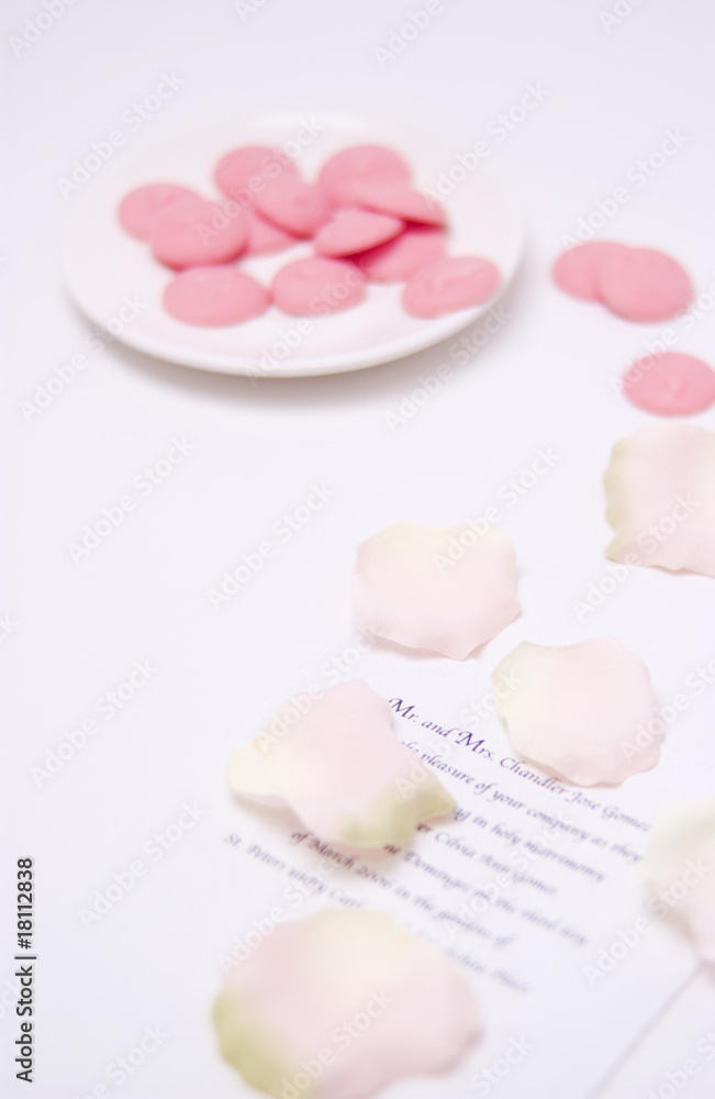 Mints Mints