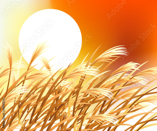 053_Techno Background