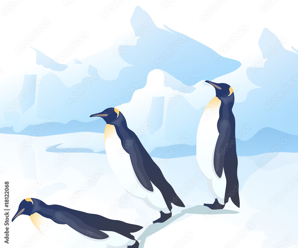 Fototapeta premium Creative 38