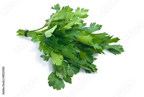 Bouquet of parsley isolated on white