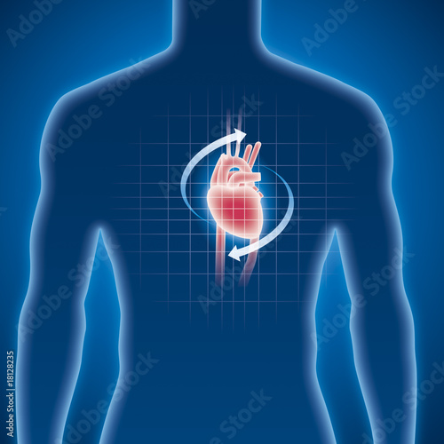Herz, Kardiologie, Untersuchung